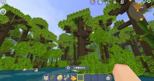 迷你小雨林爆料了吗视频