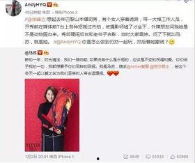 皖北一姐爆料事件视频,揭秘事件背后真相